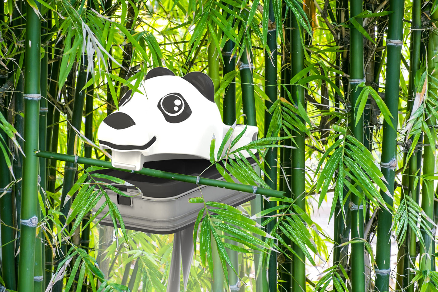 Drink in the Box - Panda Fun Top