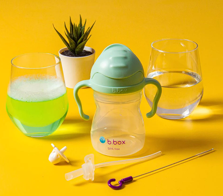 replacement straw and cleaning set