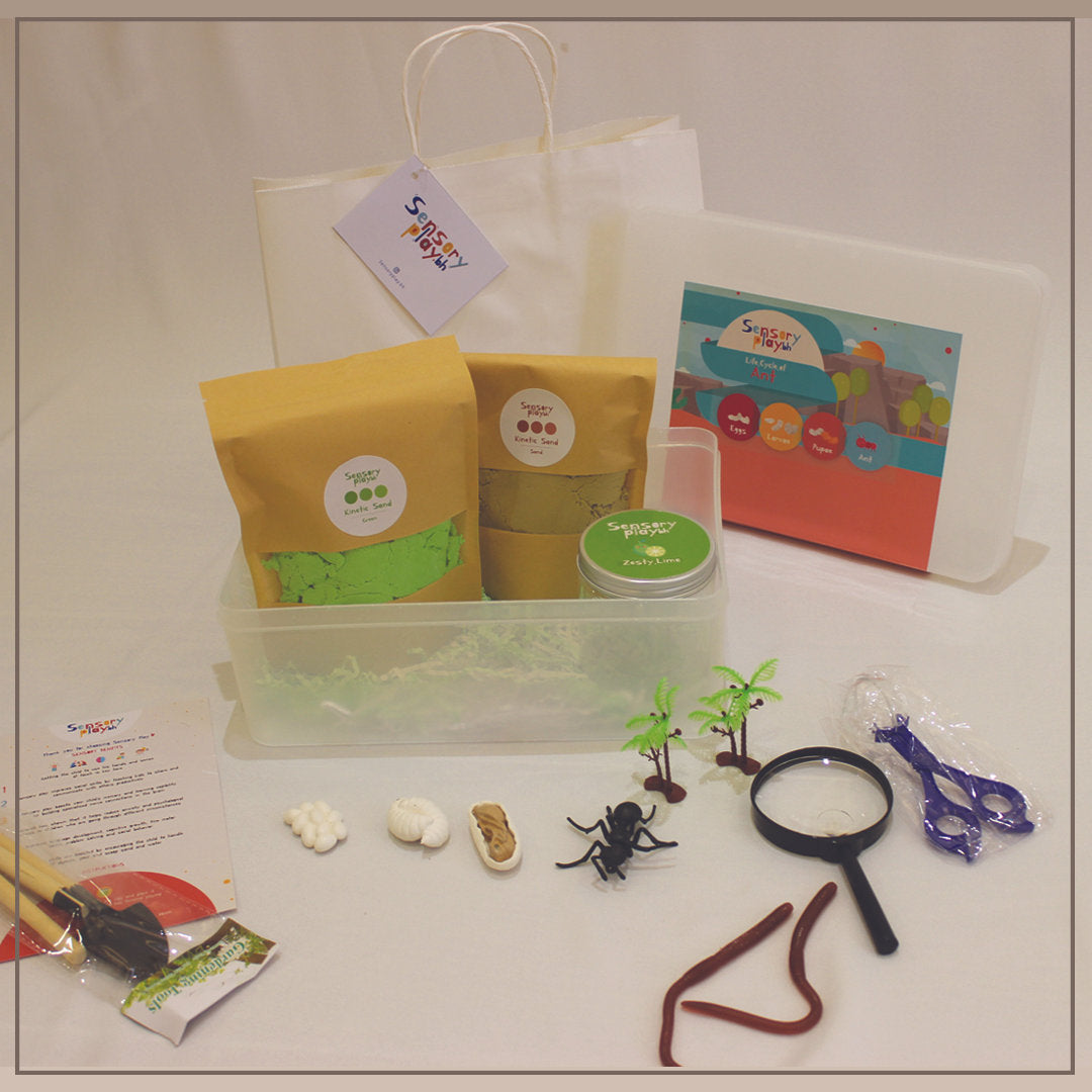 SensoryPlay Box - Ant