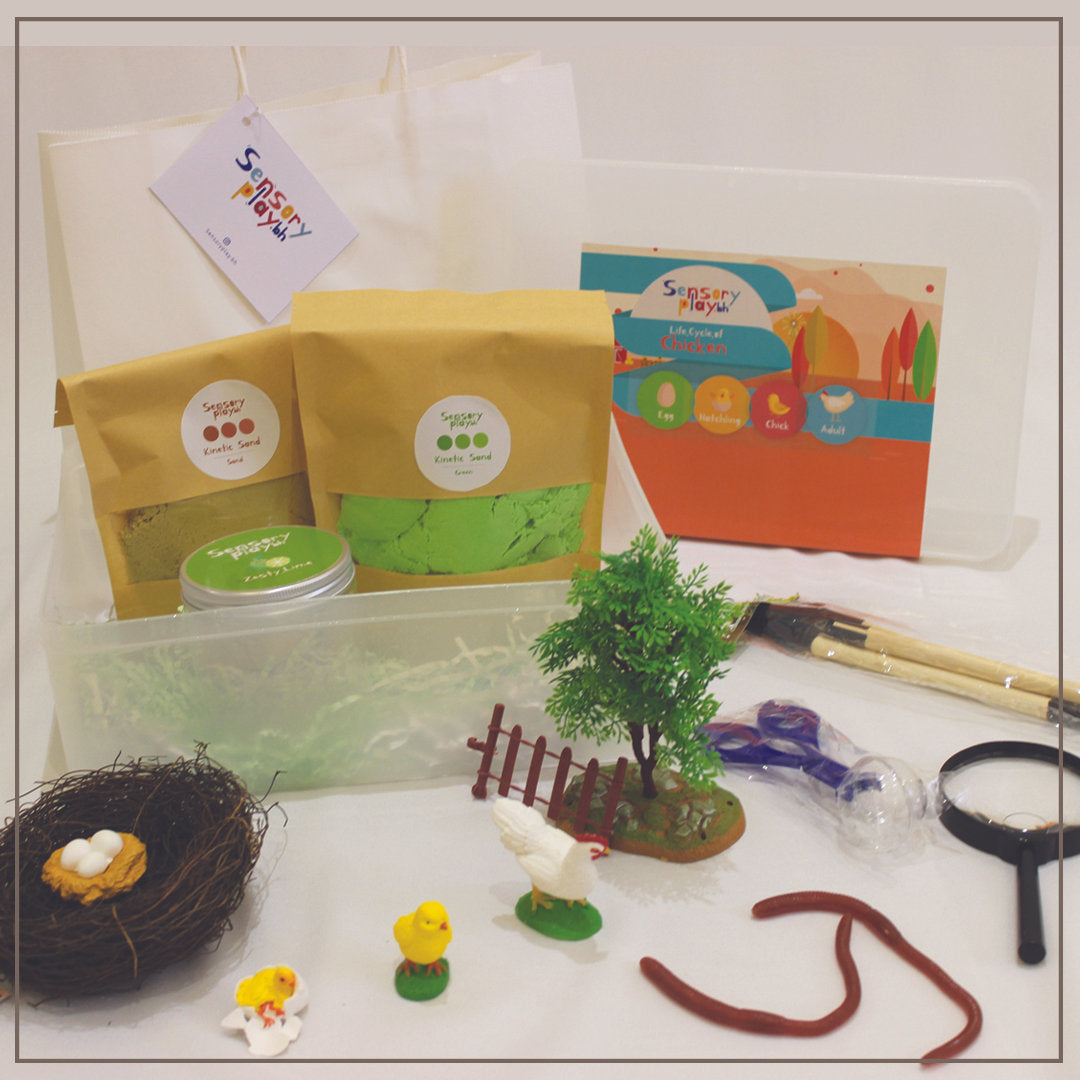 SensoryPlay Box - Chicken