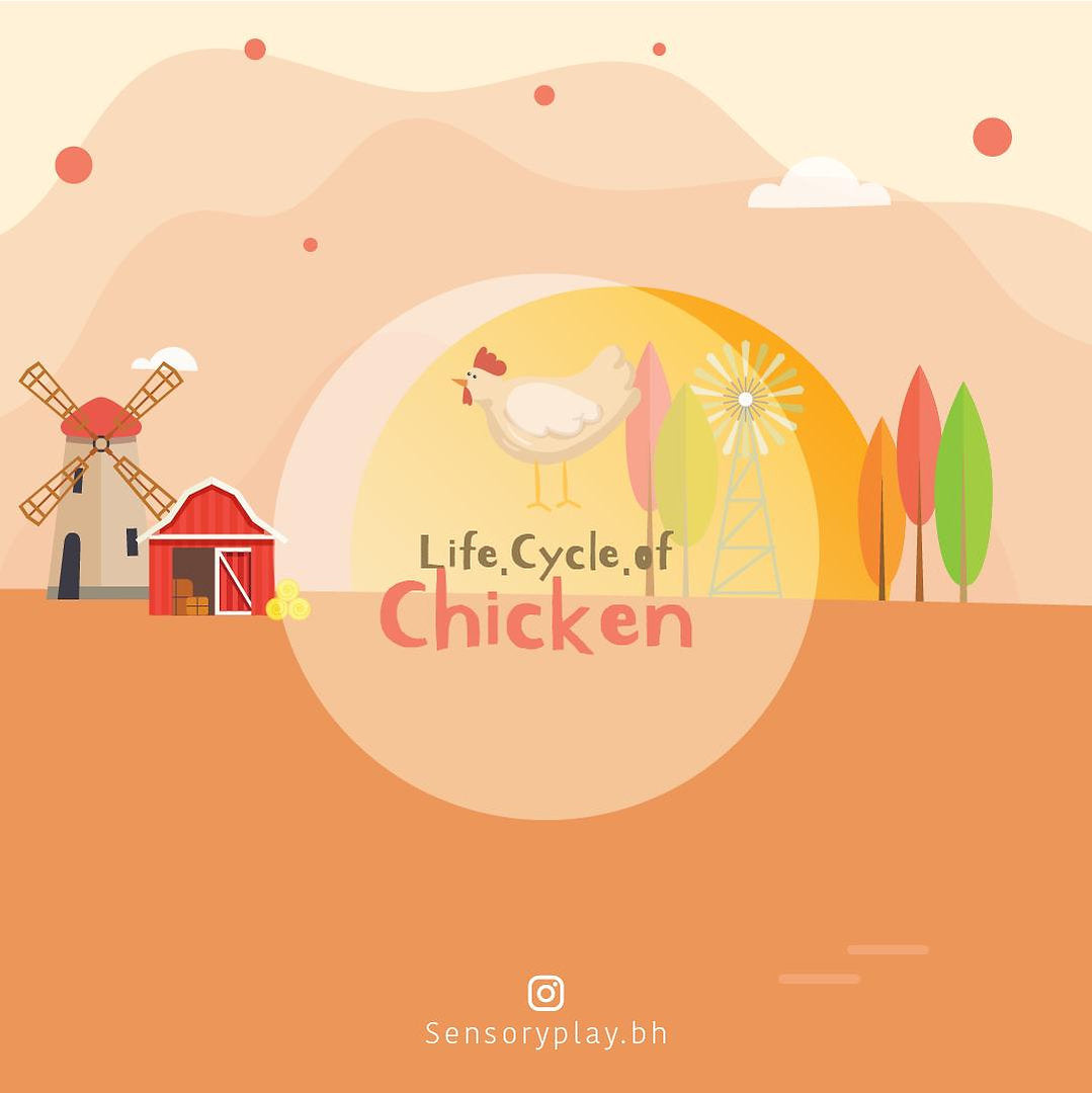 SensoryPlay Box - Chicken