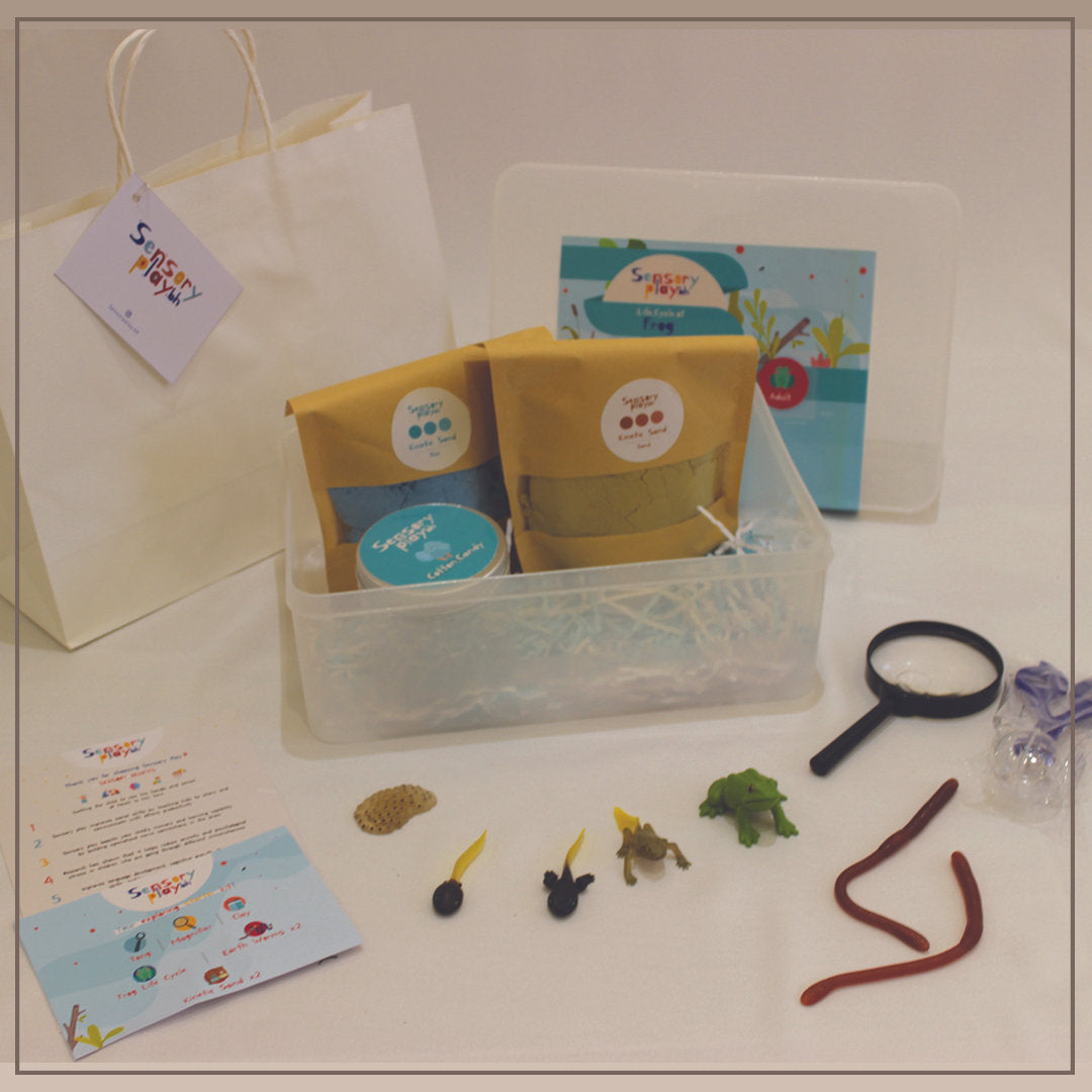SensoryPlay Box - Frog