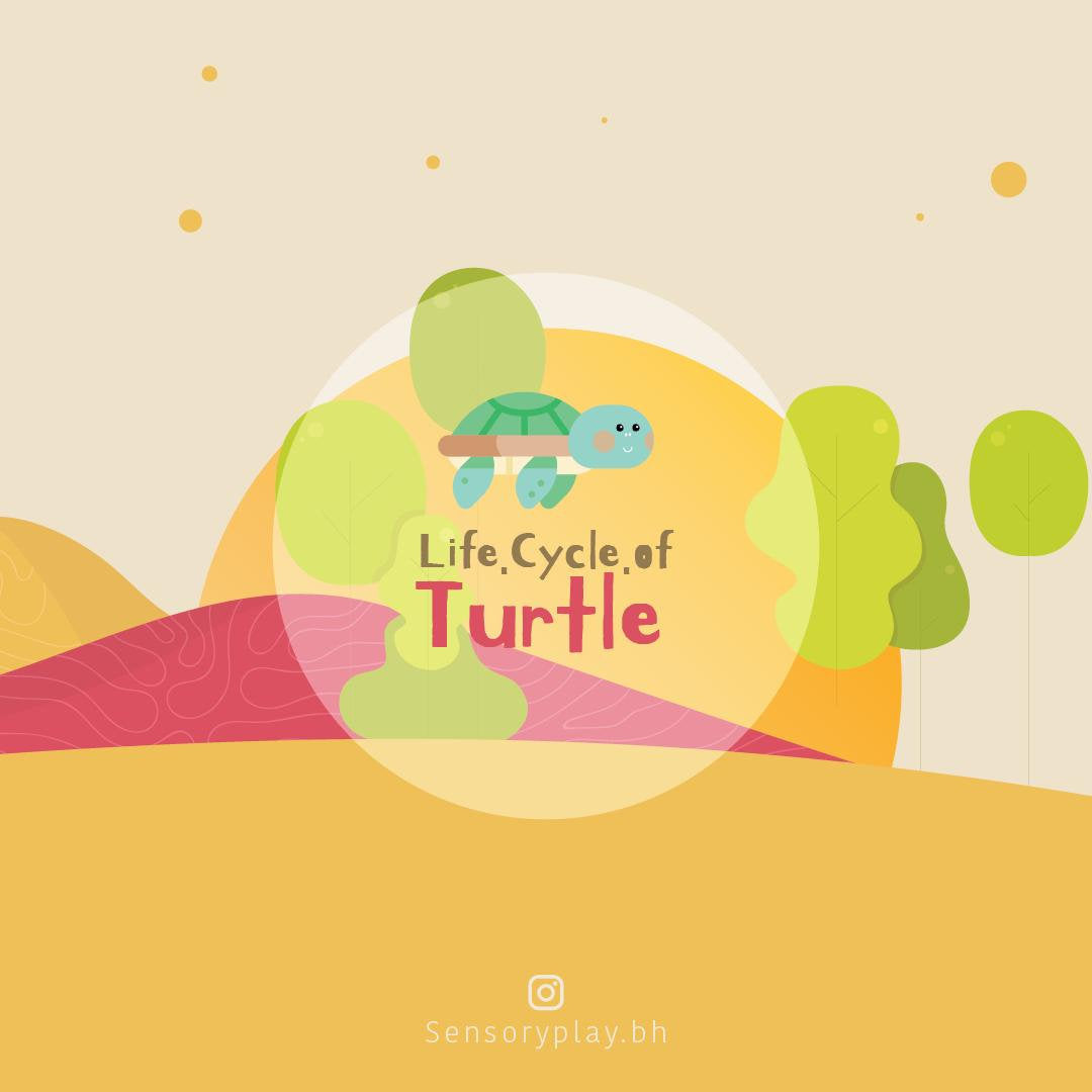 SensoryPlay Box - Turtle