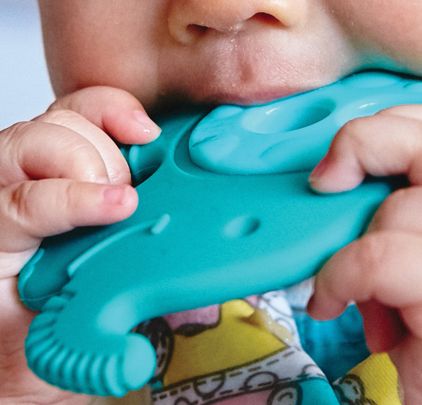 Sensory Teether - Ollie