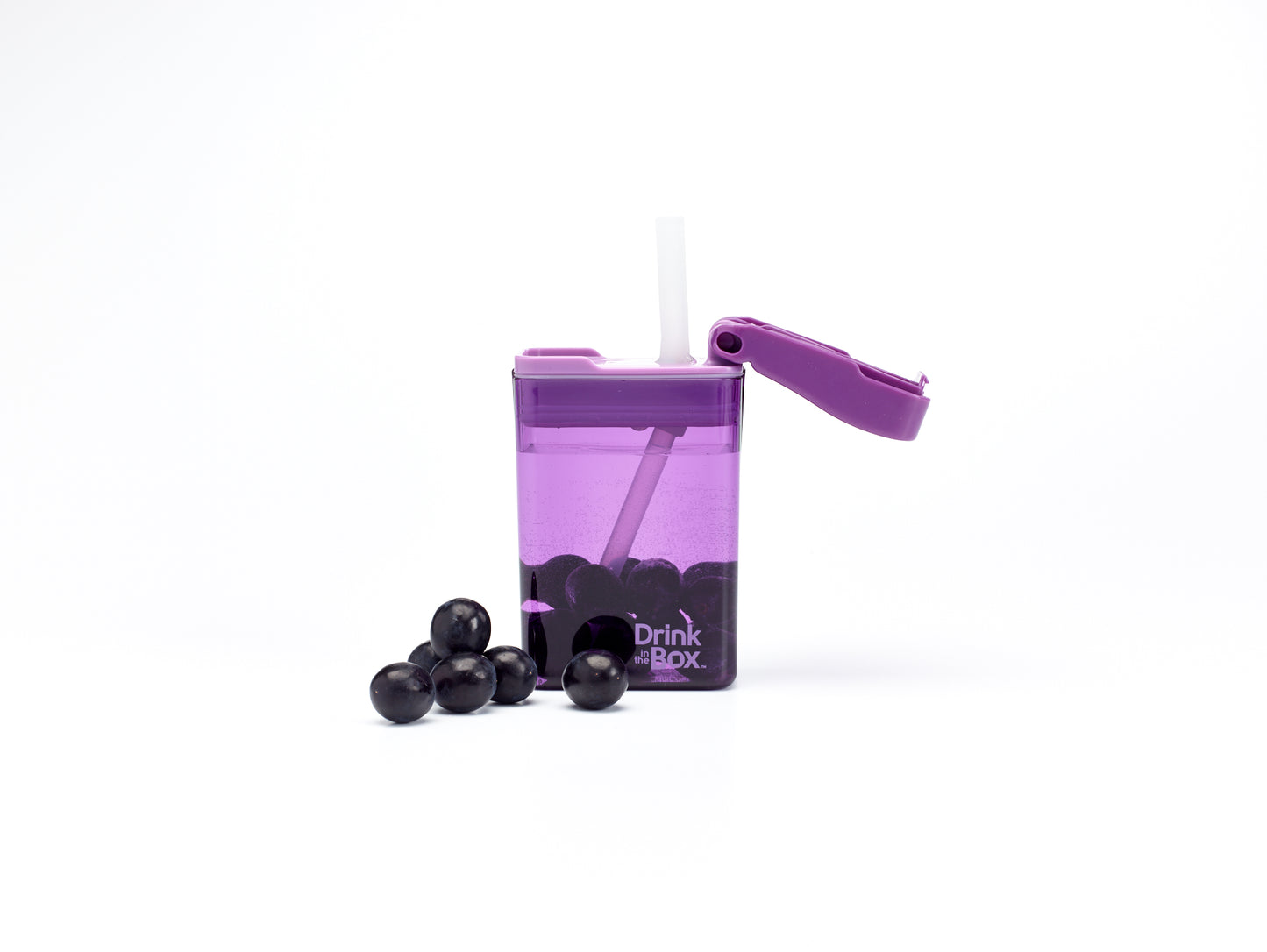 Drink in the Box Modern Design - Purple